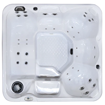 Hawaiian PZ-636L hot tubs for sale in Palm Bay